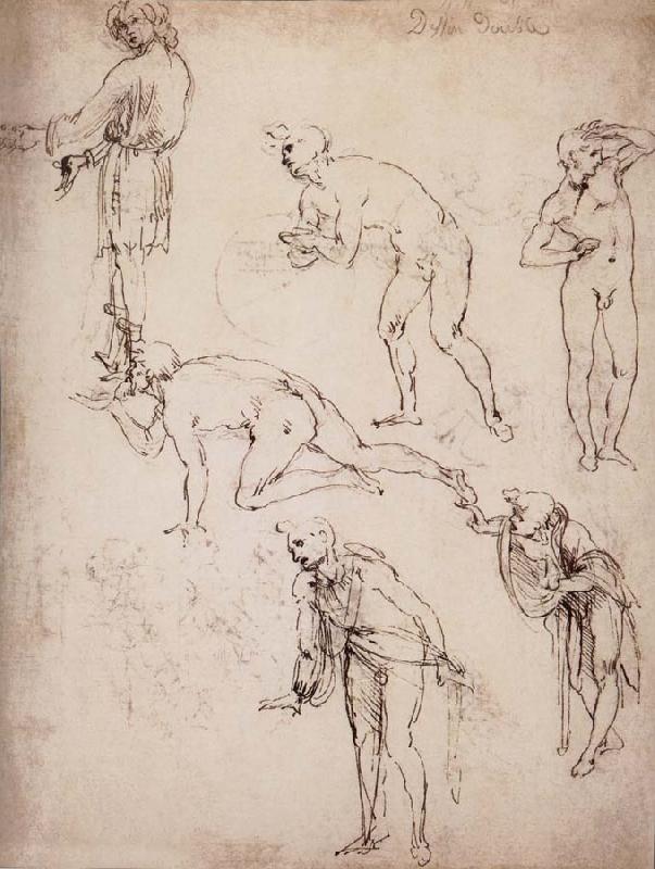  Six studies fur naked or clothed men